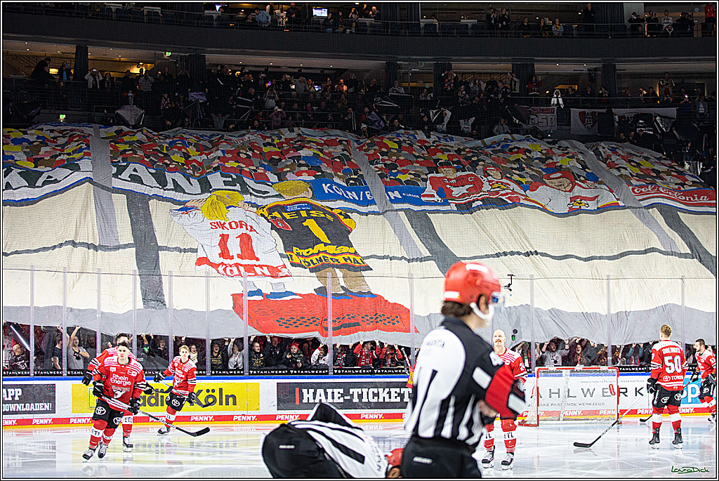 PENNY DEL; Koelner Haie- Duesseldorfer EG; Koeln, 16.12.2022